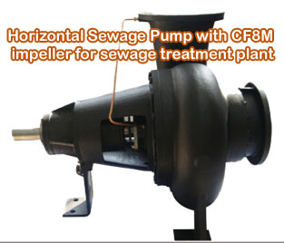 Horizontal Sewage Pump With CF8M Impeller For Sewage Treatment Plant